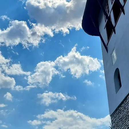 Cosena * Gjirokastër