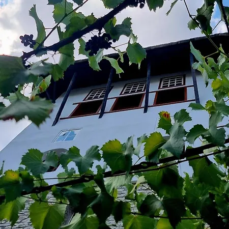 Cosena * Gjirokastër